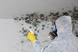 Best Residential Mold Inspection & Testing  in Craigsville, WV